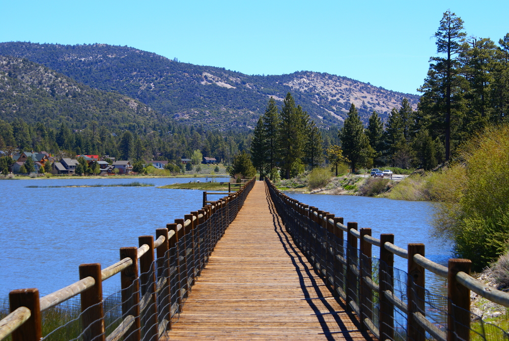 TAKE YOUR FIRST STEPS TO RECOVERY